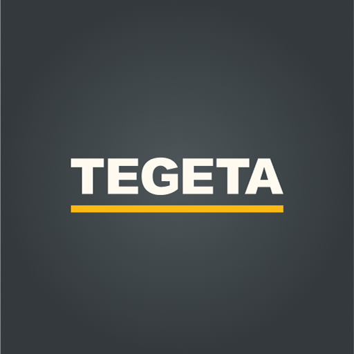 Tegeta Motors logo